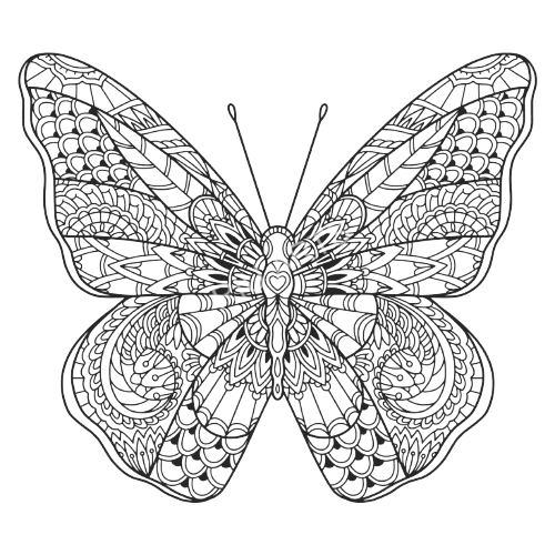 Decorative Butterfly Left